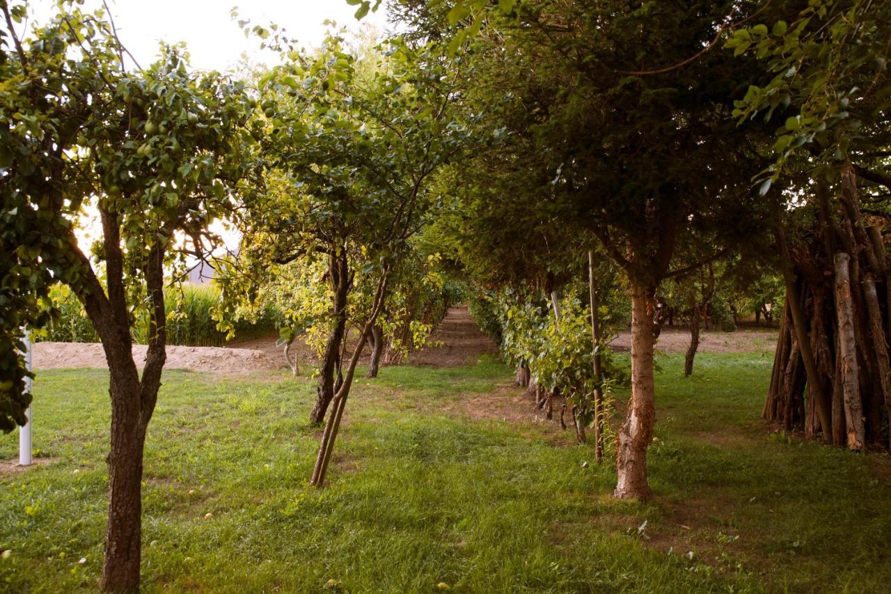 Domaine Des 4Roses -Spa Et Serenite Villa Furdenheim Luaran gambar